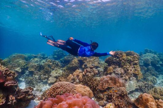 เขาหลัก-ทัวร์-ภูเก็ต-ดำน้ำตื้น-หมู่เกาะสุรินทร์-เรือสปีดโบ๊ท-sea-star