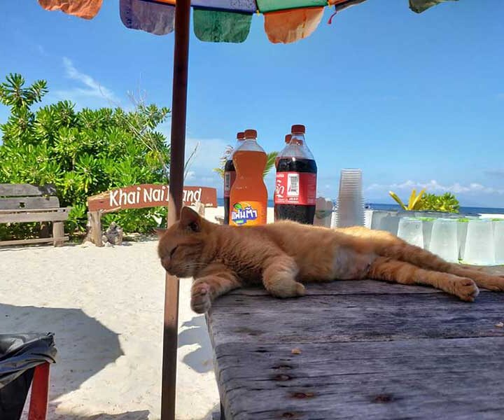 เที่ยว-ภูเก็ต-ครึ่งวัน-บ่าย-เกาะไข่-5-เกาะ