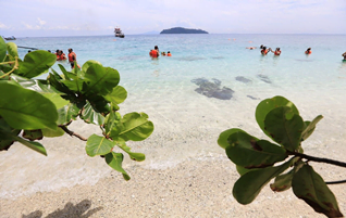 เรือใหญ่-เกาะพีพี-เกาะไม้ไผ่-ดำน้ำ-ดูประการัง-วันเดย์ทริป-2