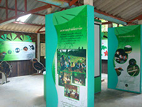 กระบี่-ทัวร์-น้ำตก-ร้อน-สระมรกต-วัน-เดย์-5