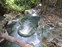 กระบี่-ทัวร์-น้ำตก-ร้อน-สระมรกต-วัน-เดย์-ทริป-4