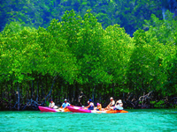 ทัวร์-กระบี่-ครึ่งวัน-พายเรือ-คายัค-ที่-อ่าว-ท่าเลน-6