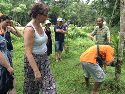 ทัวร์-พังงา-ล่องแก่ง-นั่ง-ช้าง-ขับ-ATV-โหนสลิง-A1-25