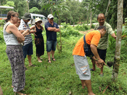ทัวร์-พังงา-ล่องแก่ง-นั่ง-ช้าง-ขับ-ATV-โหนสลิง-A1-26