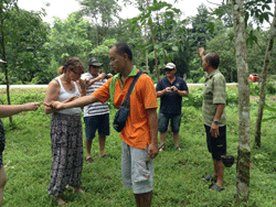 ทัวร์-พังงา-ล่องแก่ง-นั่ง-ช้าง-ขับ-ATV-โหนสลิง-A1-27