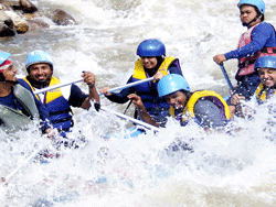 ทัวร์-พังงา-ล่องแก่ง-นั่ง-ช้าง-ขับ-ATV-โหนสลิง-A1-3