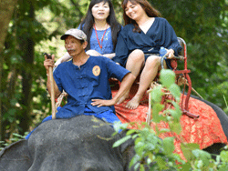 ทัวร์-พังงา-ล่องแก่ง-นั่ง-ช้าง-ขับ-ATV-โหนสลิง-A1-8