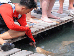 เกาะ-ยาว-น้อย-ภูเก็ต-11