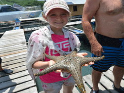 เกาะ-ยาว-น้อย-ภูเก็ต-15