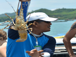 เกาะ-ยาว-น้อย-ภูเก็ต-19