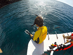 วันเดย์-ชม-พระอาทิตย์-ขึ้น-รุ่งอรุณ-เกาะพีพี-อ่าวมาหยา-เกาะไม้ไผ่-ภูเก็ต-เรือเร็ว-22