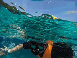 ทัวร์-เกาะ-พีพี-อ่าวมาหยา-เกาะ-ไม้ไผ่-เรือเร็ว-ภูเก็ต-4