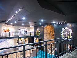 จำหน่ายตั๋วเข้าชม-ภูเก็ต-ทริกอาย-มิวเซี่ยม-Phuket-Trickeye-Museum-2