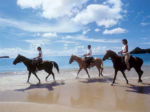 ทัวร์ภูเก็ต-ขี่ม้า-เล่นน้ำกับม้า-ริมทะเล-โรงเรียนสอนขี่ม้า