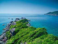 ทัวร์ภูเก็ต-วันเดย์ทริป-เกาะสิมิลัน-เต็มวัน-โดยเรือเร็ว-รวมรถรับ-ส่ง-8