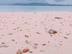 วันเดย์ทริป-เกาะนาคาน้อย-พายแคนู-เล่นบานานาโบ๊ท-ภูเก็ต-ทัวร์-ราคาถูก-5