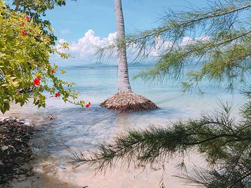 วันเดย์ทริป-เกาะนาคาน้อย-พายแคนู-เล่นบานานาโบ๊ท-ภูเก็ต-ทัวร์-ราคาถูก