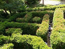 สถานที่ท่องเที่ยว-จำหน่ายตั๋ว-บ้านตีลังกา-บ้านกลับหัว-สวนพิศวง-ภูเก็ต-9