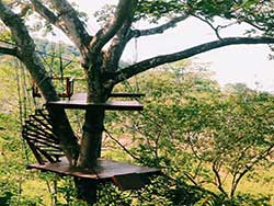 จำหน่ายบัตร-หนุมาน-เวิลด์-(Hanuman-World)---ทัวร์ภูเก็ต-ราคาถูก-10