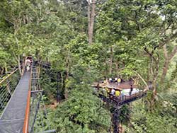 จำหน่ายบัตร-หนุมาน-เวิลด์-(Hanuman-World)---ทัวร์ภูเก็ต-ราคาถูก-5