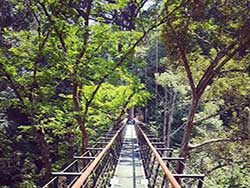 จำหน่ายบัตร-หนุมาน-เวิลด์-(Hanuman-World)---ทัวร์ภูเก็ต-ราคาถูก-9