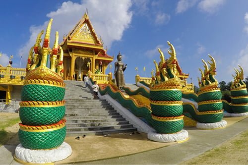 ทัวร์วันเดย์ทริป-เรียนรู้ระบบนิเวศน์-ป่าชายเลน-ล่องแพ-กินซีฟู้ด-ระนอง-8