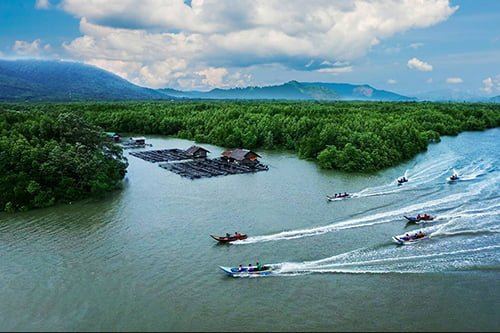 ทัวร์วันเดย์ทริป-เรียนรู้ระบบนิเวศน์-ป่าชายเลน-ล่องแพ-กินซีฟู้ด-ระนอง-9