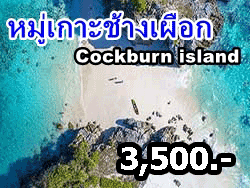 วันเดย์ทริป-ทัวร์ดำน้ำ-หมู่เกาะช้างเผือก-โดยเรือเร็ว-จังหวัดระนอง-เที่ยวทะเล-พม่า-16