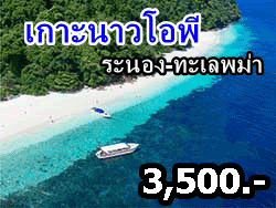 วันเดย์ทริป-ทัวร์ดำน้ำ-เกาะนาวโอพี-โดยเรือเร็ว-จังหวัดระนอง-เที่ยวทะเล-พม่า-14