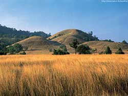 วันเดย์ทริปไพรเวท-ทัวร์รอบเมือง-ซิตี้ทัวร์-ระนอง-ทัวร์ภูเก็ต-ดรีม-6