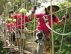 กิจกรรมผาดโผนบนต้นไม้-โหนสลิง-กระบี่-ทรีท็อป-แอดเวนเจอร์-14