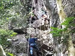 กิจกรรมผาดโผนบนต้นไม้-โหนสลิง-กระบี่-ทรีท็อป-แอดเวนเจอร์-18