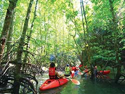 ทัวร์เต็มวัน-พายเรือคายัค-ณ-อ่าวท่าเลน-เล่นน้ำ-อาหาร-เที่ยวกระบี่-4