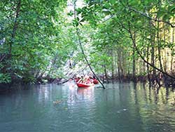 ทัวร์เต็มวัน-พายเรือคายัค-ณ-อ่าวท่าเลน-เล่นน้ำ-อาหาร-เที่ยวกระบี่-7