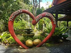 ทัวร์เรียนรู้-วิธีชีวิต-การดูแลช้าง-แคมป์ปางช้างสองแพรก-ภูเก็ต-เขาหลัก-พังงา-13