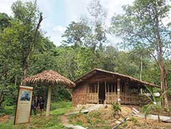 ทัวร์เรียนรู้-วิธีชีวิต-การดูแลช้าง-แคมป์ปางช้างสองแพรก-ภูเก็ต-เขาหลัก-พังงา-17