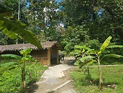 ทัวร์เรียนรู้-วิธีชีวิต-การดูแลช้าง-แคมป์ปางช้างสองแพรก-ภูเก็ต-เขาหลัก-พังงา-3