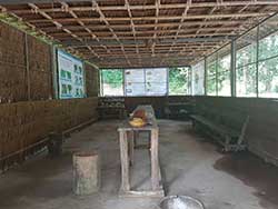 ทัวร์เรียนรู้-วิธีชีวิต-การดูแลช้าง-แคมป์ปางช้างสองแพรก-ภูเก็ต-เขาหลัก-พังงา-4