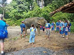 ทัวร์เรียนรู้-วิธีชีวิต-การดูแลช้าง-แคมป์ปางช้างสองแพรก-ภูเก็ต-เขาหลัก-พังงา