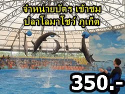 จำหน่ายบัตร-จองตั๋ว-เข้าชม-ปลาโลมาโชว์-ฉลอง-ภูเก็ต-โปรโมชั่นคนไทย-12