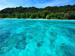 ทัวร์ล่องเรือคาตามารัน-ดูปลาโลมา-เกาะไม้ท่อน-ชมพระอาทิตย์ตกเกาะโหลน-ภูเก็ต-6