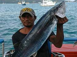 ทัวร์วันเดย์ทริป-ตกปลาใหญ่-เกาะราชาใหญ่-เรือตกปลา-เที่ยวภูเก็ต-ราคาถูก-18