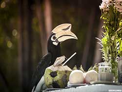 ทัวร์วันเดย์ทริป-ราชาน้อย-หาดกล้วย-บานาน่า-บีส-เกาะเฮ-เรือเร็ว-เที่ยวภูก็ต-ราคาถูก-2