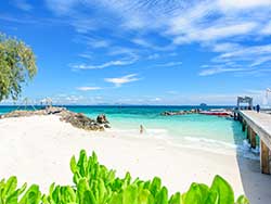 ทัวร์วันเดย์ทริป-เกาะไม้ท่อน-ล่องเรือชมปลาโลมา-โดยเรือคาตามารัน-เที่ยวภูเก็ต-4