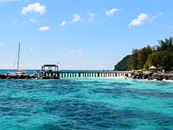 ทัวร์วันเดย์ทริป-เกาะไม้ท่อน-ล่องเรือชมปลาโลมา-โดยเรือคาตามารัน-เที่ยวภูเก็ต-5