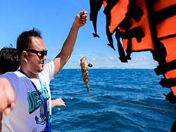 ทัวร์วันเดย์ทริป-เกาะไม้ท่อน-ล่องเรือชมปลาโลมา-โดยเรือคาตามารัน-เที่ยวภูเก็ต-6