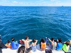 ทัวร์วันเดย์ทริป-เกาะไม้ท่อน-ล่องเรือชมปลาโลมา-โดยเรือคาตามารัน-เที่ยวภูเก็ต-7