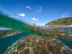 ทัวร์วันเดย์ทริป-เกาะไม้ท่อน-ล่องเรือชมปลาโลมา-โดยเรือคาตามารัน-เที่ยวภูเก็ต-8