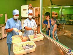 บริการรับจองตั๋ว-บัตร-เข้าชม-ซาฟารี-เวิลด์-สวนสัตว์เปิด-เที่ยวกรุงเทพ-ราคาถูก-15