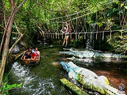 บริการรับจองตั๋ว-บัตร-เข้าชม-ซาฟารี-เวิลด์-สวนสัตว์เปิด-เที่ยวกรุงเทพ-ราคาถูก-23